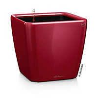 Pot carré Lechuza Premium LS rouge scarlet brillant 21 x 21 x h.20 cm