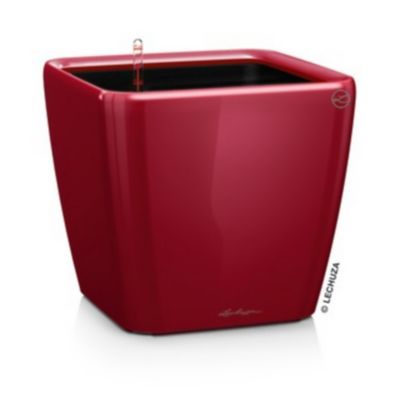 Pot carré Lechuza Premium LS rouge scarlet brillant 28 x 28 x h.26 cm