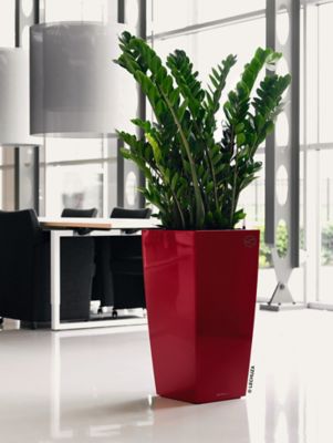 Pot carré Lechuza Premium rouge scarlet brillant 50 x 50 x h.95 cm