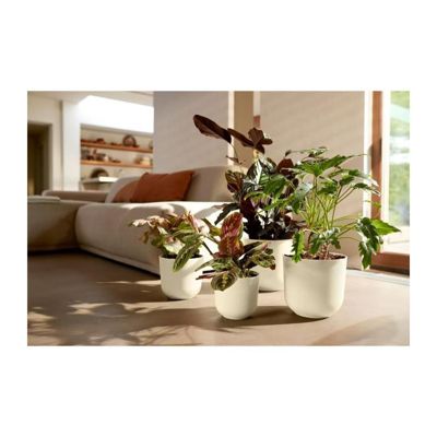 Pot de fleur - Elho - Jazz Rond - Blanc - L 35 x B 34.5 x H 32 cm - Intérieur - 100% recyclé