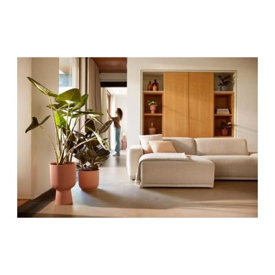 Pot de fleur - Elho - Vibes Fold Coupe - Rose - L 30 x B 29.5 x H 45 cm - Intérieur - 100% recyclé