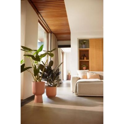Pot de fleur - Elho - Vibes Fold Coupe - Rose - L 30 x B 29.5 x H 45 cm - Intérieur - 100% recyclé
