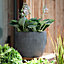 Pot de fleurs Boracay 22.5cm Deroma