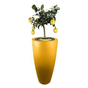 Pot de fleurs conique delight 200l