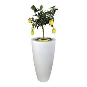 Pot de fleurs conique delight 200l