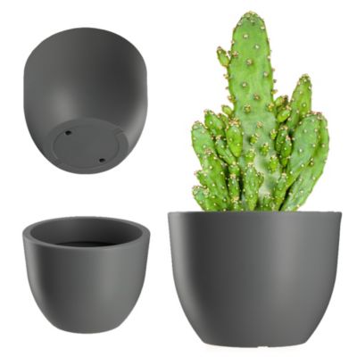 Sitemapcdatahttpsmodeinf Inetcomlidl Pot De Fleur