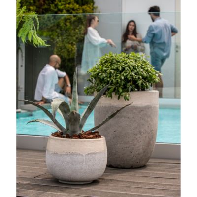 Lot De 5 Soucoupes Pour Pots De Fleurs - Terre Cuite, Diamètre 7,5/10 Cm - Pour Jardinières Et Plantes D'intérieur