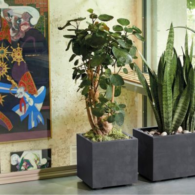 Pot de fleurs en cube plastique gris anthracite 25 x 25 cm avec réserve d'eau Deroma