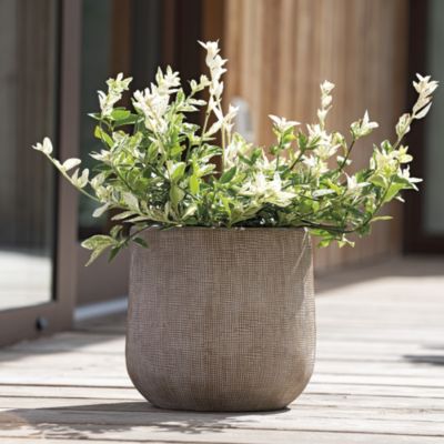 Scheurich Corteza, Pot De Fleurs En Céramique, Couleur: Menta, 18.8 Cm