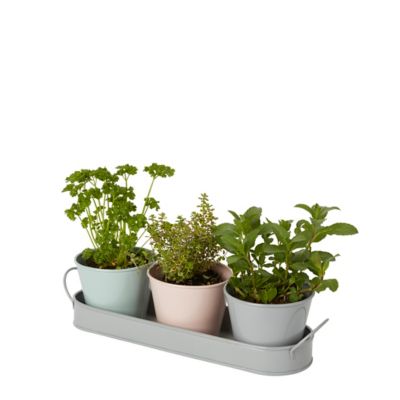 Pot en métal avec support 9 cm vendu par 3 pièces