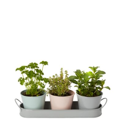 Pot en métal avec support 9 cm vendu par 3 pièces