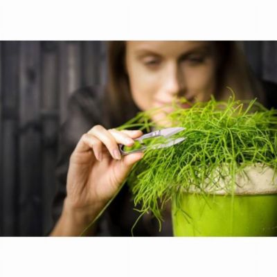 Pot Long vert - Vert foncé - Esschert design
