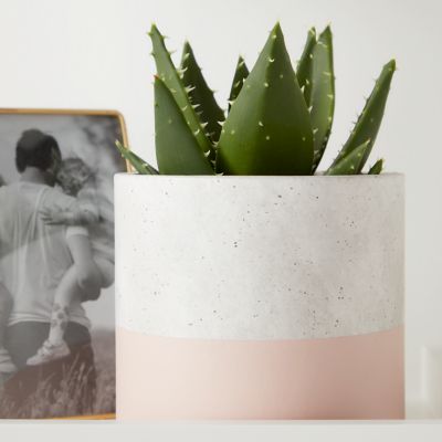 Pot Rond Béton Trempé Rose ø12 cm GoodHome