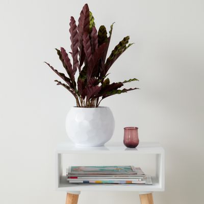 Pot sphérique nid d'abeille blanc ø14 cm