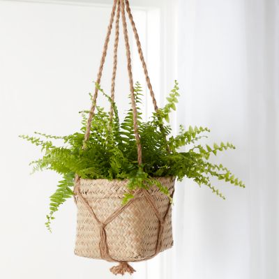 Pot suspendu herbes marines naturel 12 cm
