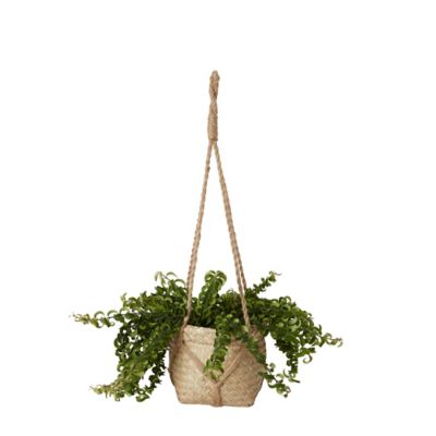 Pot suspendu herbes marines naturel 12 cm