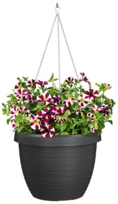 Décoration Murale Bohème Pots Suspendus Macramé Gvolatee - Lot De 6 Avec Crochets | Support Pour Plantes D'Intérieur | Décoration Bohème étagère Plante