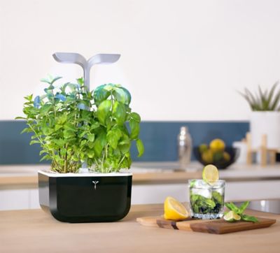 Potager d'intérieur Exky® Smart Soft Black
