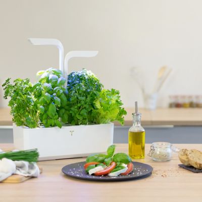 Potager d'intérieur Véritable® Classic Arctic White