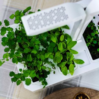 Potager d'intérieur Véritable® Classic Arctic White
