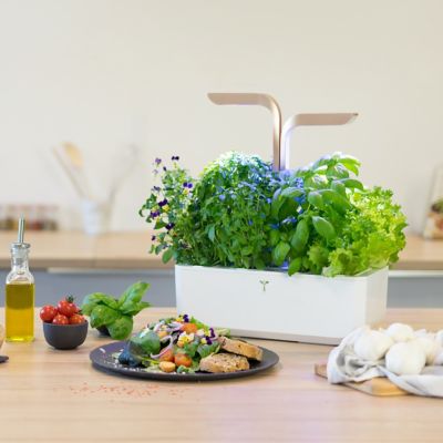 Potager d'intérieur Véritable® Connect Moonlight Gold