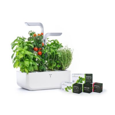 Potager d'intérieur Véritable® Smart Arctic White