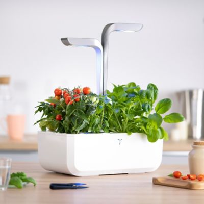 Potager d'intérieur Véritable® Smart Arctic White