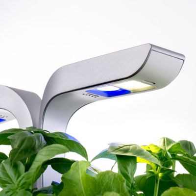 Potager d'intérieur Véritable® Smart Arctic White