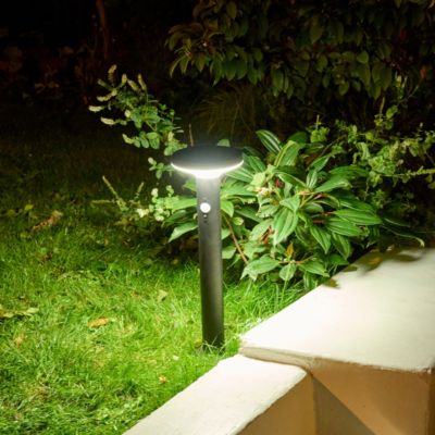 Potelet extérieur solaire LED intégrée Cowhorn noir 650 lm IP44 GoodHome