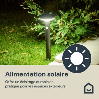 Potelet extérieur solaire LED intégrée Cowhorn noir 650 lm IP44 GoodHome