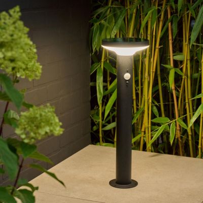 Potelet extérieur solaire LED intégrée Cowhorn noir 650 lm IP44 GoodHome