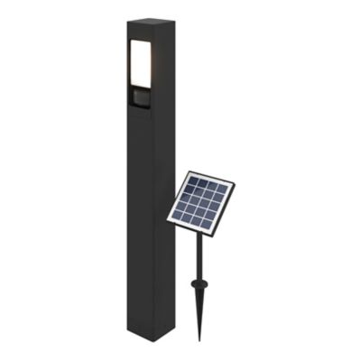 Potelet solaire LED intégré à détection Davern 800lm IP65 noir Goodhome