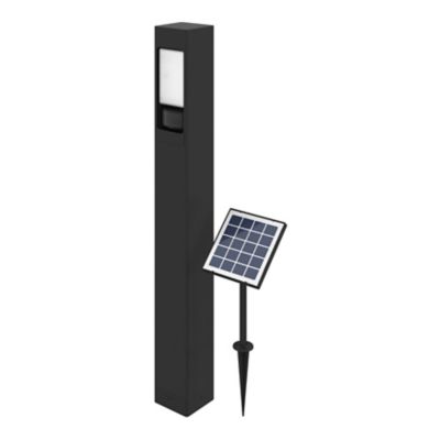 Potelet solaire LED intégré à détection Davern 800lm IP65 noir Goodhome