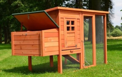 Poulailler 3/6 poules cage canard 2 perchoir 182x75x103 cm Modele 131 XXL