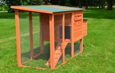 Poulailler 3/6 poules cage canard 2 perchoir 182x75x103 cm Modele 131 XXL