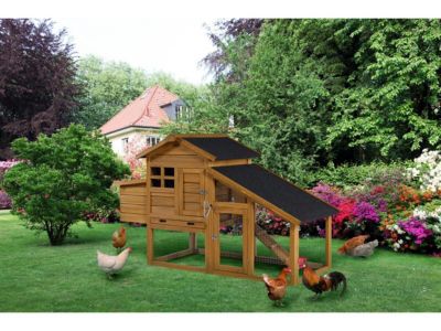 Poulailler avec pondoir en bois "Clochette"  Marron