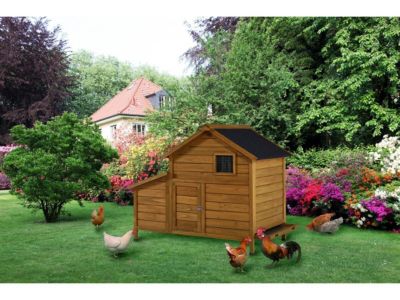Poulailler avec pondoir en bois "Cocotte"  Marron