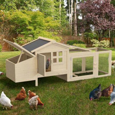 Poulailler clapier en bois sur pilotis avec pondoir enclos et tiroir à déjections 2 poules