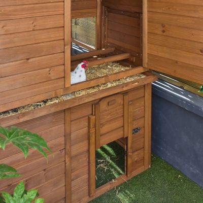 Poulailler en bois COTENTINE. 6 à 8 poules. cage à poule avec enclos