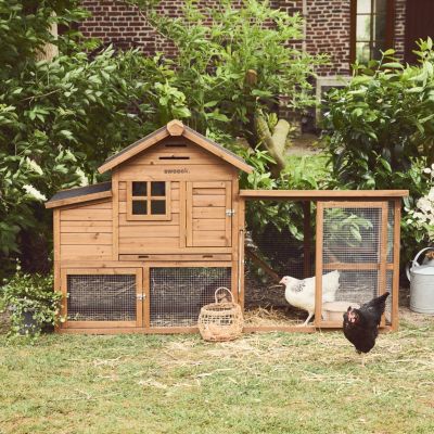 Poulailler en bois GELINE. 4 poules. cage à poule avec enclos