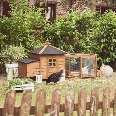 Poulailler en bois JAVA. 2 poules. cage à poule avec enclos