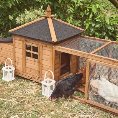 Poulailler en bois JAVA. 2 poules. cage à poule avec enclos