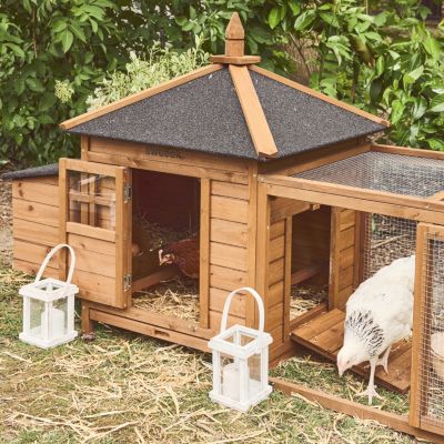 Poulailler en bois JAVA. 2 poules. cage à poule avec enclos