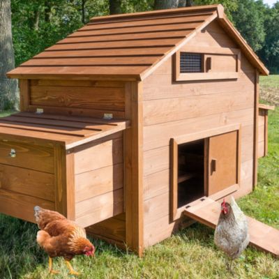 Poulailler en bois  pour jardin extérieure cage canard équipé 2 nichoirs 185 x 84 x 112 cm Modèle 154 Ferme de terrain