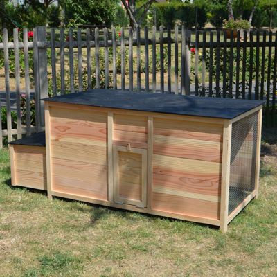 Poulailler LUCIEN S douglas avec habitat et pondoir 154,5x74x71 cm pour 2 à 4 poules