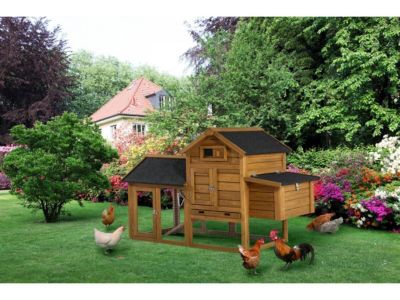 Poulailler "Poulette" avec pondoir en bois  Marron