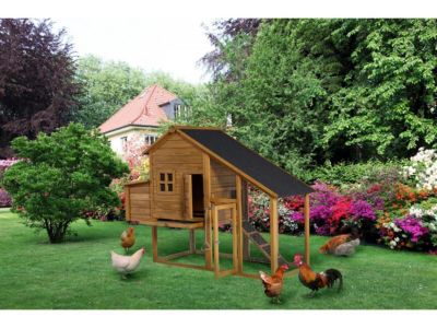 Poulailler "Princesse" avec pondoir en bois  4 poules  Marron