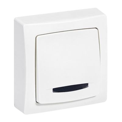 Poussoir lumineux avec voyant Legrand 0 976 10 coloris blanc montage en saillie