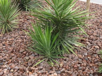 Pouzzolane décorative marron 6-12 Blooma 500L