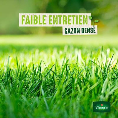 Prairie Universelle - 5 kg - Vilmorin